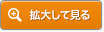 拡大してみる