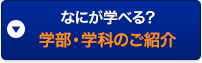 なにが学べる？学部・学科のご紹介